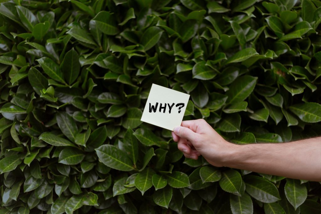 I know this is a general question, but what separates a really great SEO who achieves results from a generic SEO?